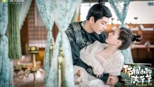 Роман тигра и розы, The romance of tiger and rose