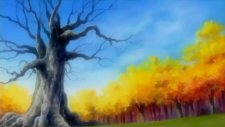 С начала. Часть 2, D.C.S.S: Da Capo Second Season