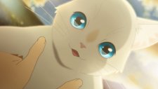 Сквозь слёзы я притворяюсь кошкой, Nakitai Watashi wa Neko wo Kaburu