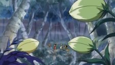 Ван-Пис [ТВ] (802-*), One Piece / Wanpiisu