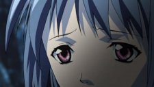 Священные звери, Saint Beast: Seijuu Kourin-hen