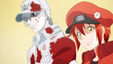 Клетки за работой 2, Hataraku Saibou!! 2