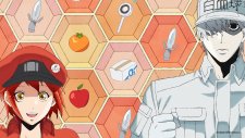 Клетки за работой 2, Hataraku Saibou!! 2