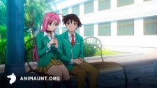 Розарио + Вампир, Rosario to Vampire
