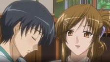Учёба со старшими сестрёнками, Kateikyoushi no Onee san