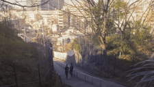 Семь дней: понедельник—четверг, Seven days: monday — thursday
