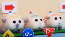Пуй-пуй Молькар: Автошкола, Pui Pui Molcar: Driving School