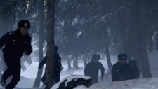 Охота на волков, Wild Hunt